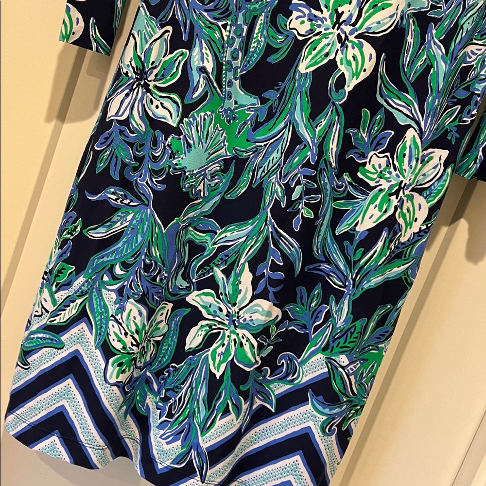 Lilly Pulitzer dress, large - Picture 5 of 9